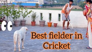 When Max Played Cricket With Whole Family. (Cute Video)