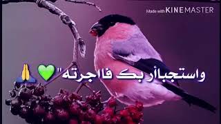 دعاء قصير ولا كن جميل😍اللهم امييين