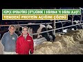 Kepçe Operatörü Çiftliğinde 3 Sığırdan 70 Sığıra Ulaştı | Yemdeki Protein Açığını Çözdü