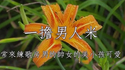 一擔男人米 陳隨意 男調卡啦OK伴唱