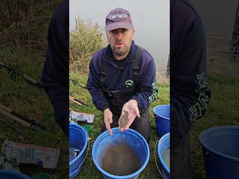 Czarny Gros Gardons i Lake - zanęta na zimną wodę