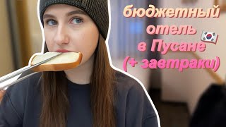 наш отель в Пусане🇰🇷 лучшая локация | Toyoko Inn Busan Station