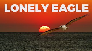 ‘Lonely Eagle’ released !!! 🎧 New Album by Guido Negraszus. New Age, Ambient & Electronic music! Resimi