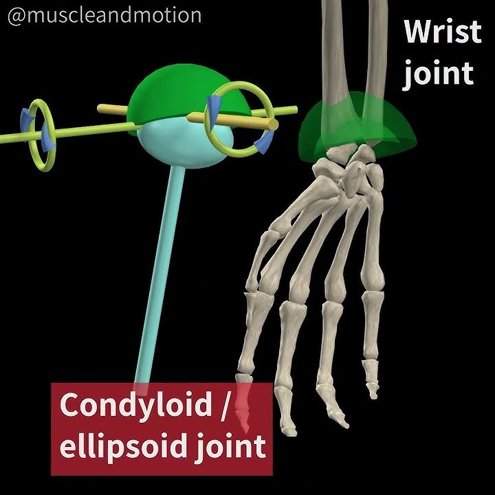 Plane Joint Examples