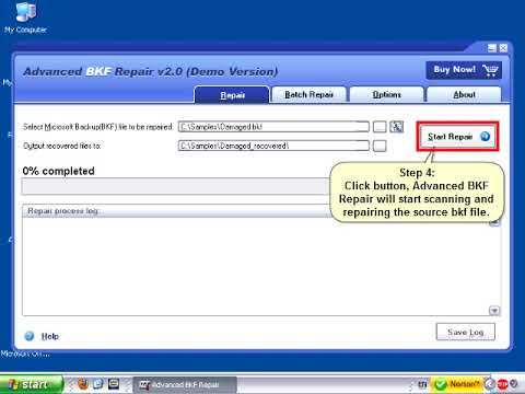 DataNumen BKF Repair Video Tutorial(Demo Version)