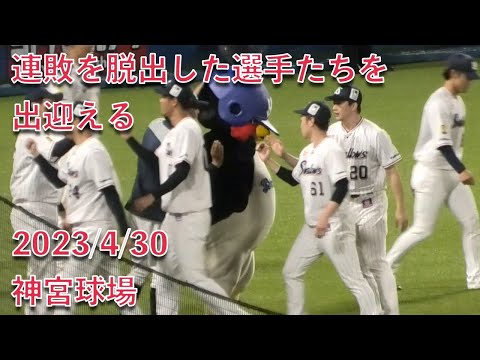 つば九郎、連敗を脱出した選手たちを出迎える 2023/4/30