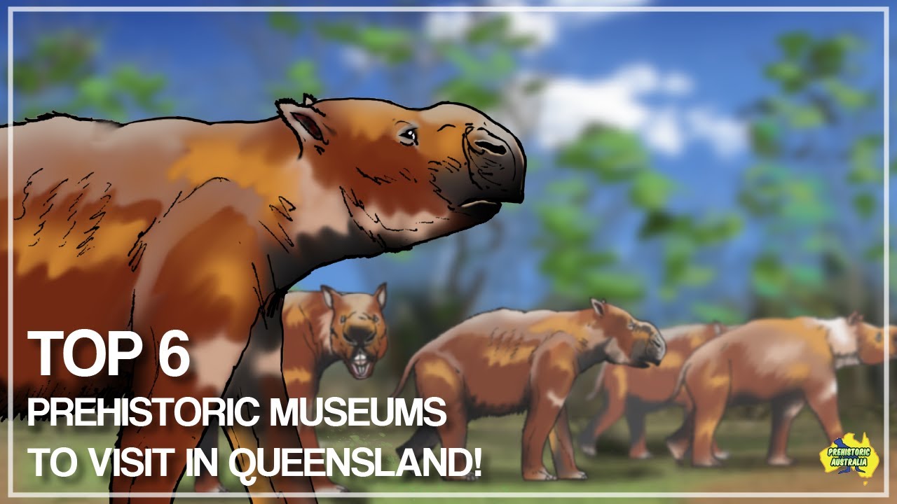 Top 6 Prehistoric Museums To Visit in Queensland