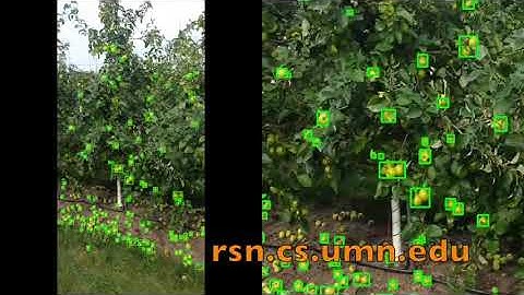 Vision Based Pre-Harvest Yield Mapping