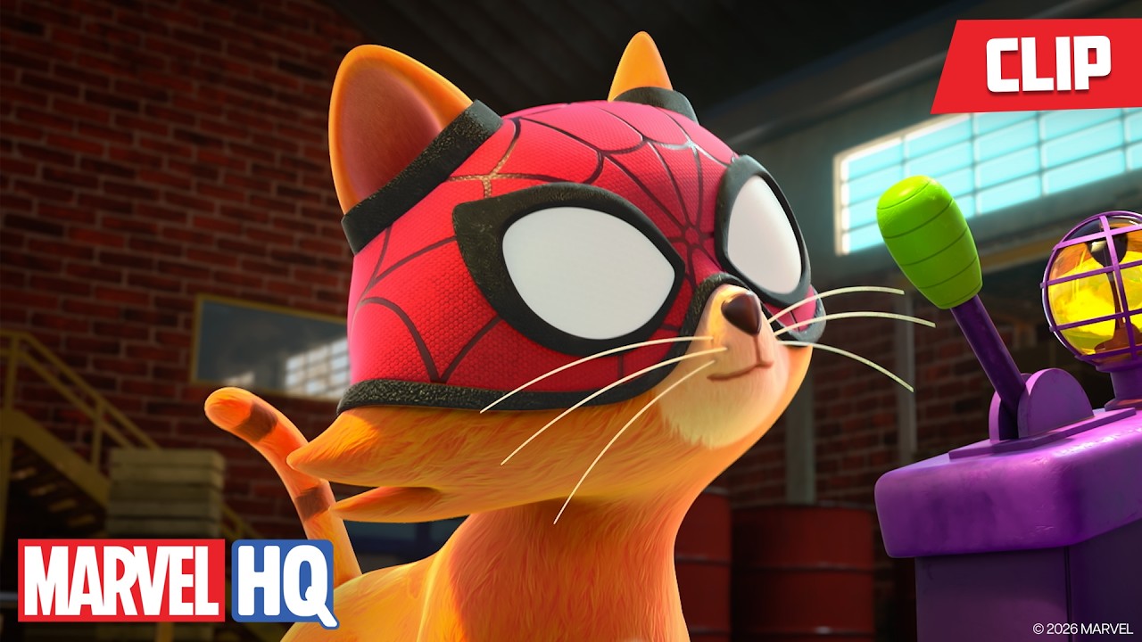 Spidey Cat 🕷️🐱🕸️ | Spidey and His Amazing Friends