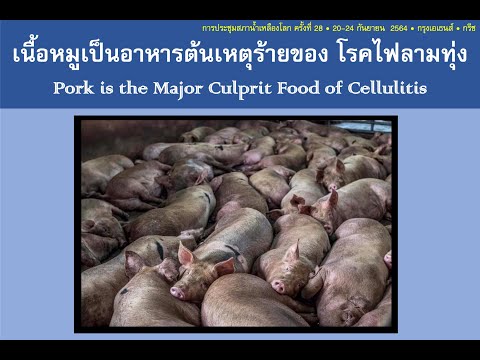 เนื้อหมูเป็นอาหารต้นเหตุร้ายของ โรคไฟลามทุ่ง Pork is the Major Culprit Food of Cellulitis