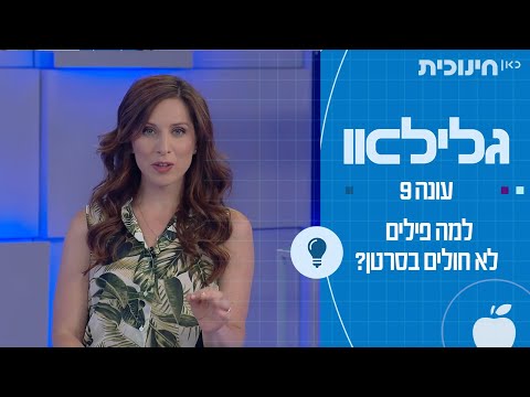 וִידֵאוֹ: כיצד מטפלים בסרטן אצל יונקים קטנים