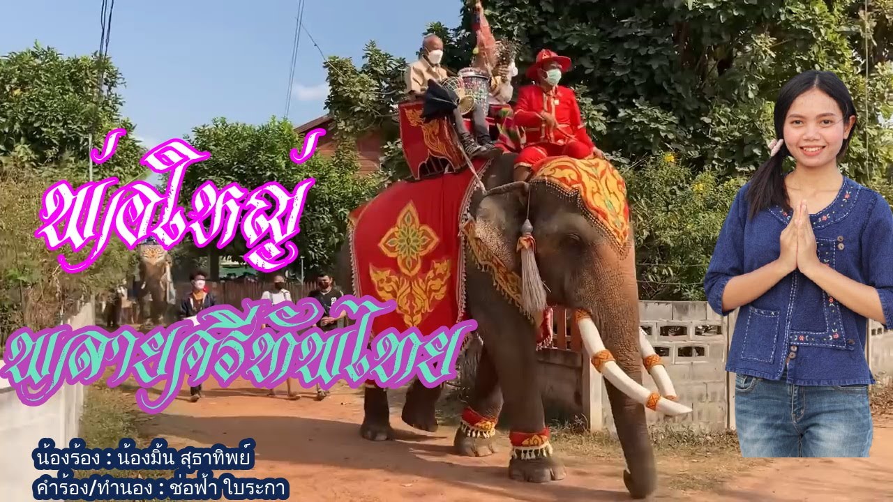 เพลง : พ่อใหญ่พลายศรีทัพไทย  นักร้อง : น้องมิ้น  สุธาทิพย์  คำร้อง/ทำนอง : ช่อฟ้า ใบระกา