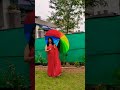 hawa mein udta jaye#beautifulsexy#radhika Thapa#youtube#trendingshorts#shorts#viral#shortvideo