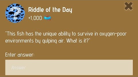 Riddle Of The Day Zoo 21 December | Zoo Riddle Of The Day 21 December | Riddle Of The Day Code Zoo