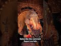 #youtuber#shiv#reels#love#ganesh#motivation
