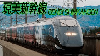 現美新幹線・紅葉の越後路 2020年11月撮影