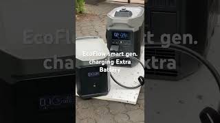 Ecoflow smart generator dual fuel charging the extra battery 2kW