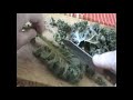 Зимняя зелень: деликатесные оладьи из капусты Кале/Кейл. Wintergreens  Delicious Kale pancakes