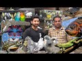 Karnataka Aquarium|Exotic reptiles|Iguana,Angora Rabbits,Turtles,Mice,Birds|Latest Stock update Vlog