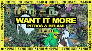 Pitros & Belami - Want It More [DIRTYBIRD] @dirtybirdrecords