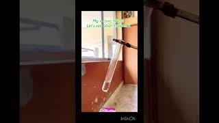 Chemicals catch fire || Insane Gas in chemistry lab #science #video #feedshorts #chemistry