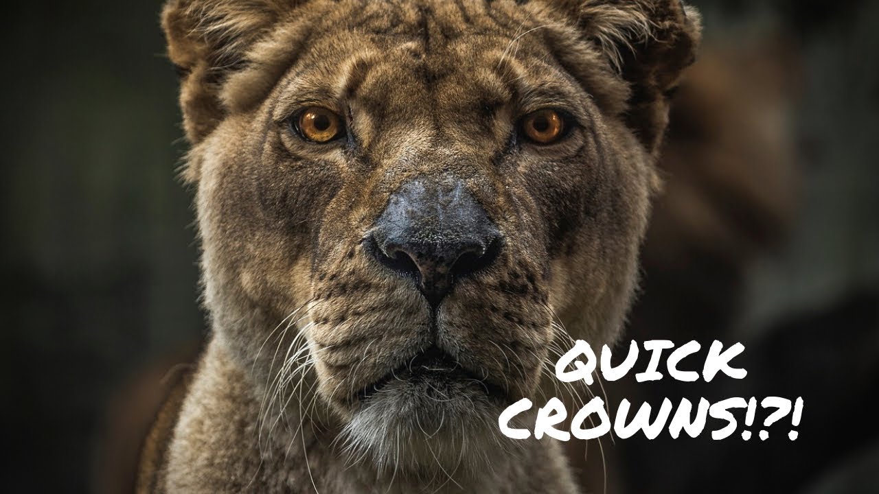 Age Of Ishtaria Easy Crowns