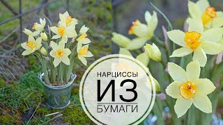 картинка: Paper daffodils / НАРЦИССЫ из бумаги / Весенняя композиция / DIY TSVORIC