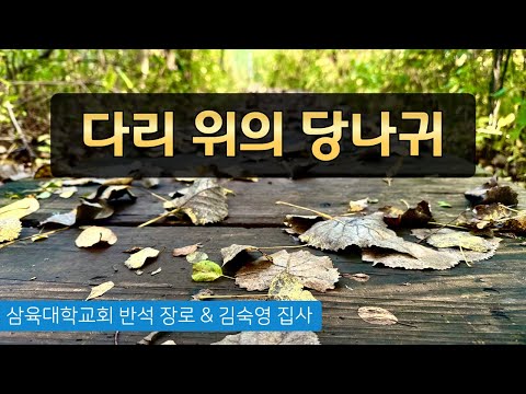 [화요예배] 다리 위의 당나귀 - 반석 장로 & 김숙영 집사 - 2024.10.08.(화)