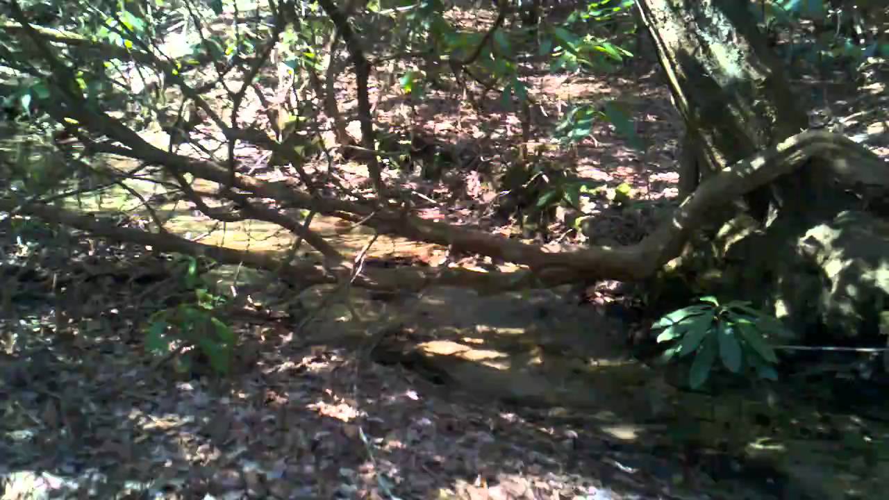 5.51 Acres Land For Sale Mills River NC Creek on Property YouTube