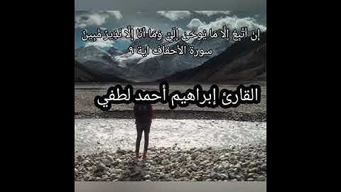 القارئ إبراهيم أحمد لطفي