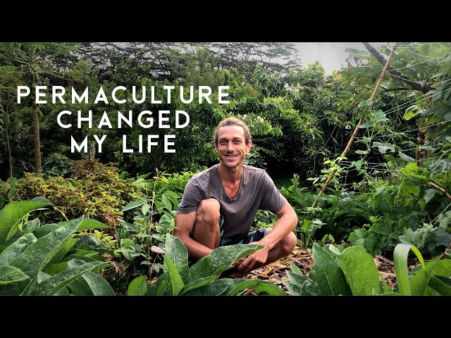 Permaculture Life