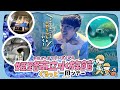 【水族館×鉄道】関西最強「穴場」水族館を徹底解説ツアー！タッチプールにホホジロザメ！？姫路市立水族館🦈