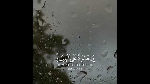 تلاوه خاشعه | بصوت القارئ شريف مصطفى | حالات واتس اب دينيه♥♥.#allah