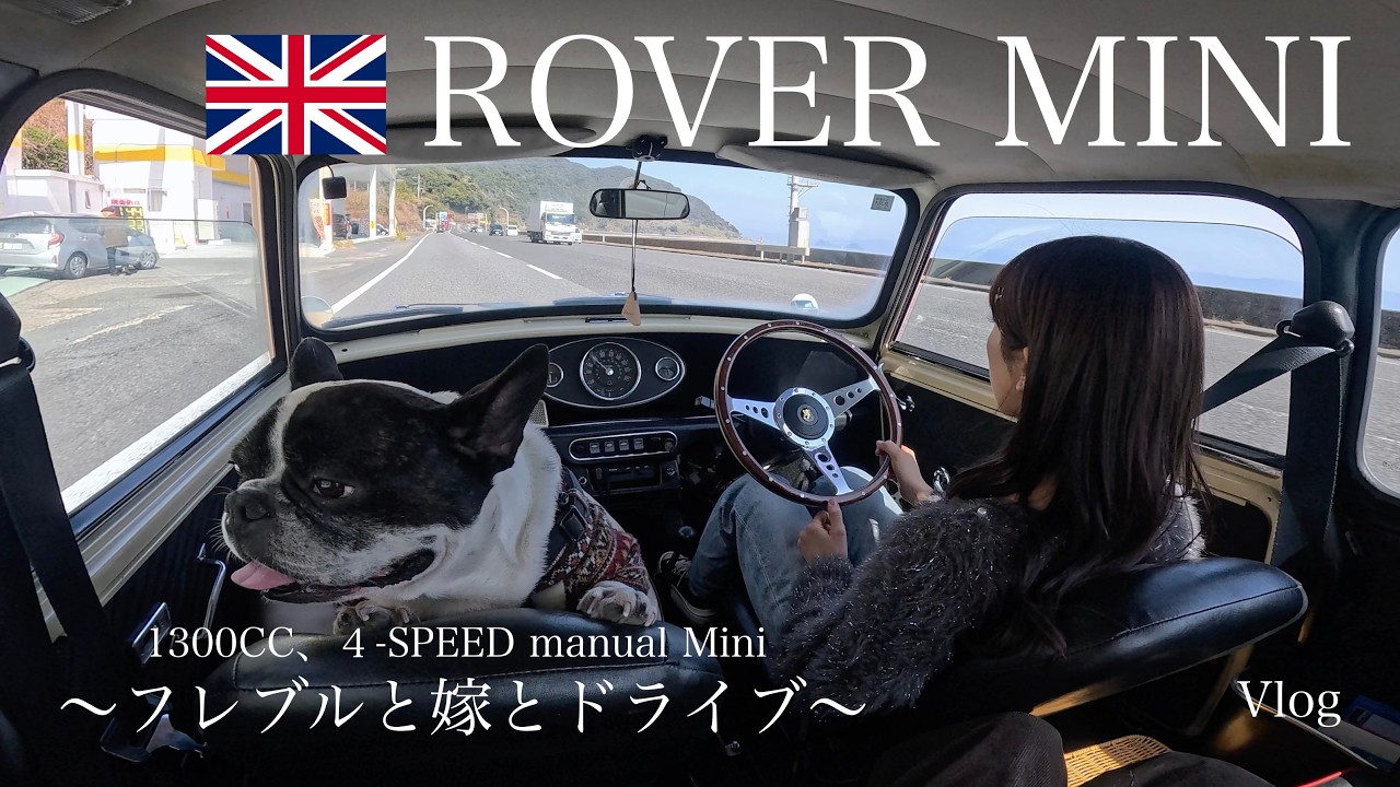 嫁の運転するROVER MINIでフレブルのお散歩へ【４K】