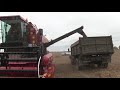 Комбайн Гомсельмаш ПАЛЕССЕ 575 с зерновой жаткой собирает зерновые.
