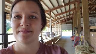 Feed updates: haystack soaking and Mr. Rewind