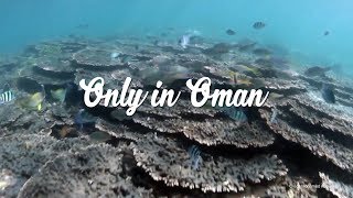 Oman Summer