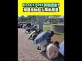 BLACKPINK專場演出