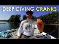 My Favorite Deep Diving Crankbaits and Where to Throw Them