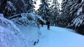 Skitur valgfag på Ringkollen