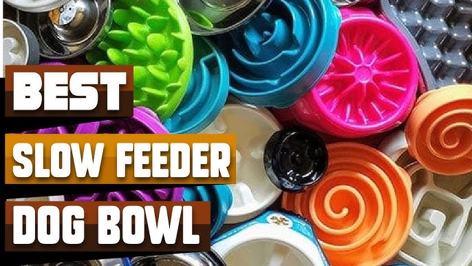 9 Best Slow Feeder Dog Bowls and Puzzles