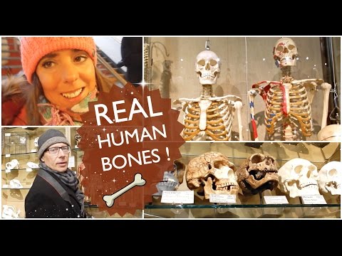 REAL HUMAN BONES !