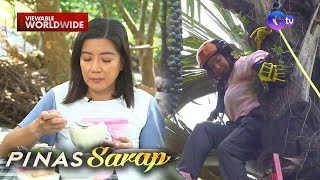 Kara David, susubukang mag-harvest at magluto ng kaong para sa haluhalo! | Pinas Sarap