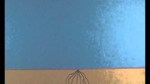 Original un-finished Smudge & Click animation