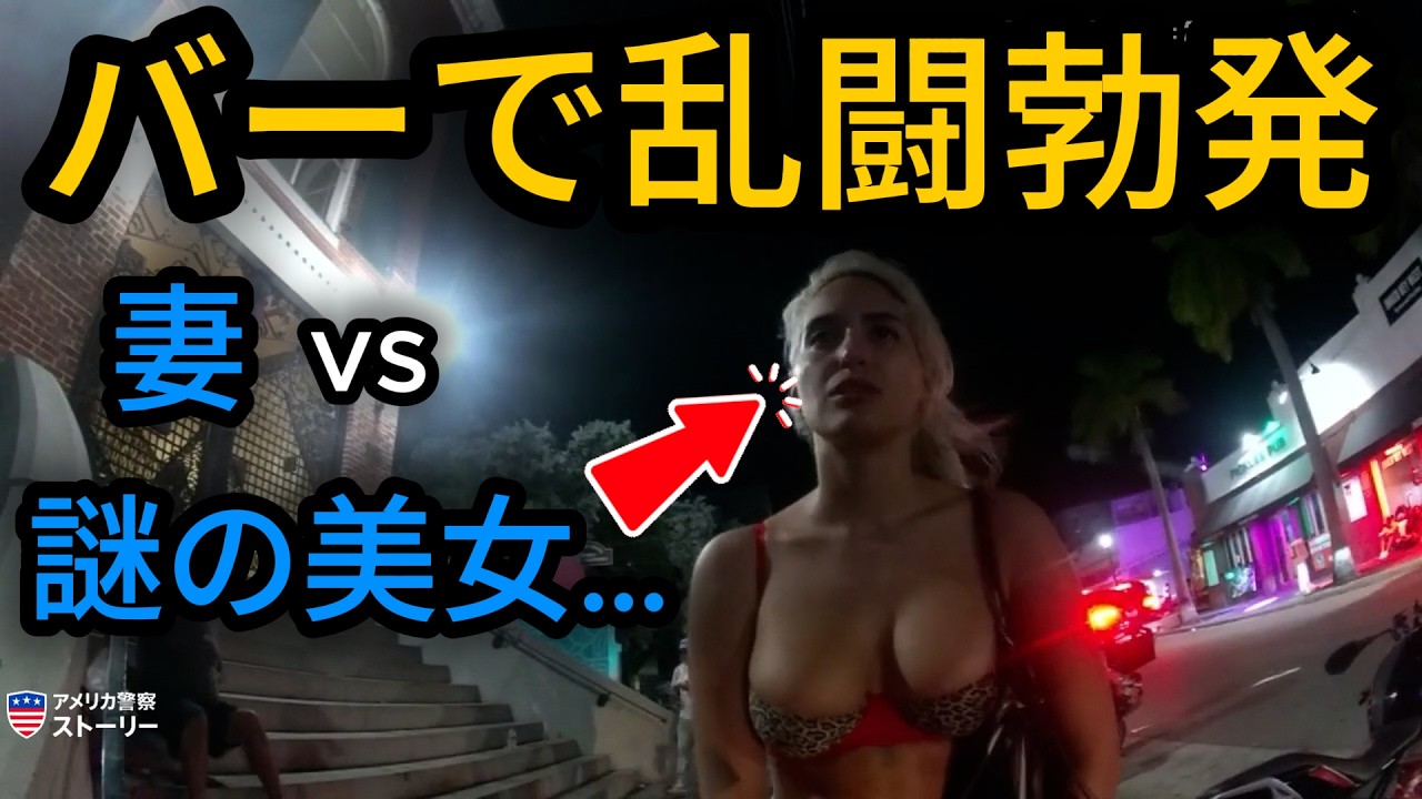 妻vs謎の美女…バー乱闘で最大8,000ドルの出費も？【アメリカ警察密着】#警察ストーリー #警察