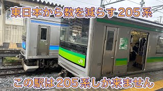 【JR東日本最後の205系定期運用路線】仙石線小鶴新田駅で撮影します。