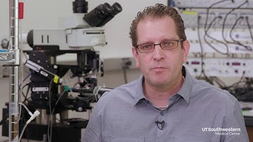 Songbirds help researchers “tune in” to vocal learning (No Music or Lower Third)