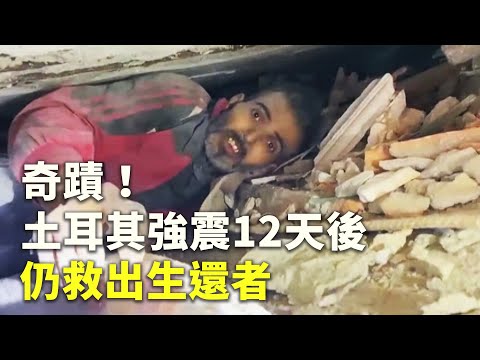 奇蹟！土耳其強震12天後仍救出生還者 - 地震救援 - 國際新聞