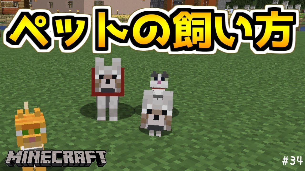 マイクラ ペット 猫とオオカミ をなつかせる ゆっくり実況 普通のサバイバルしていいですか 34 Java Edition1 18 2 Youtube