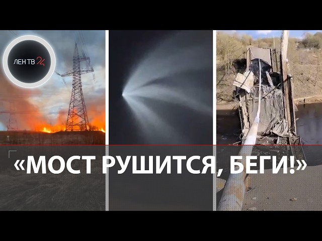 Рухнул мост через Волхов | Нашел 1,5 млн под холодильником | Какая зверюга! | Дело о велодорожке